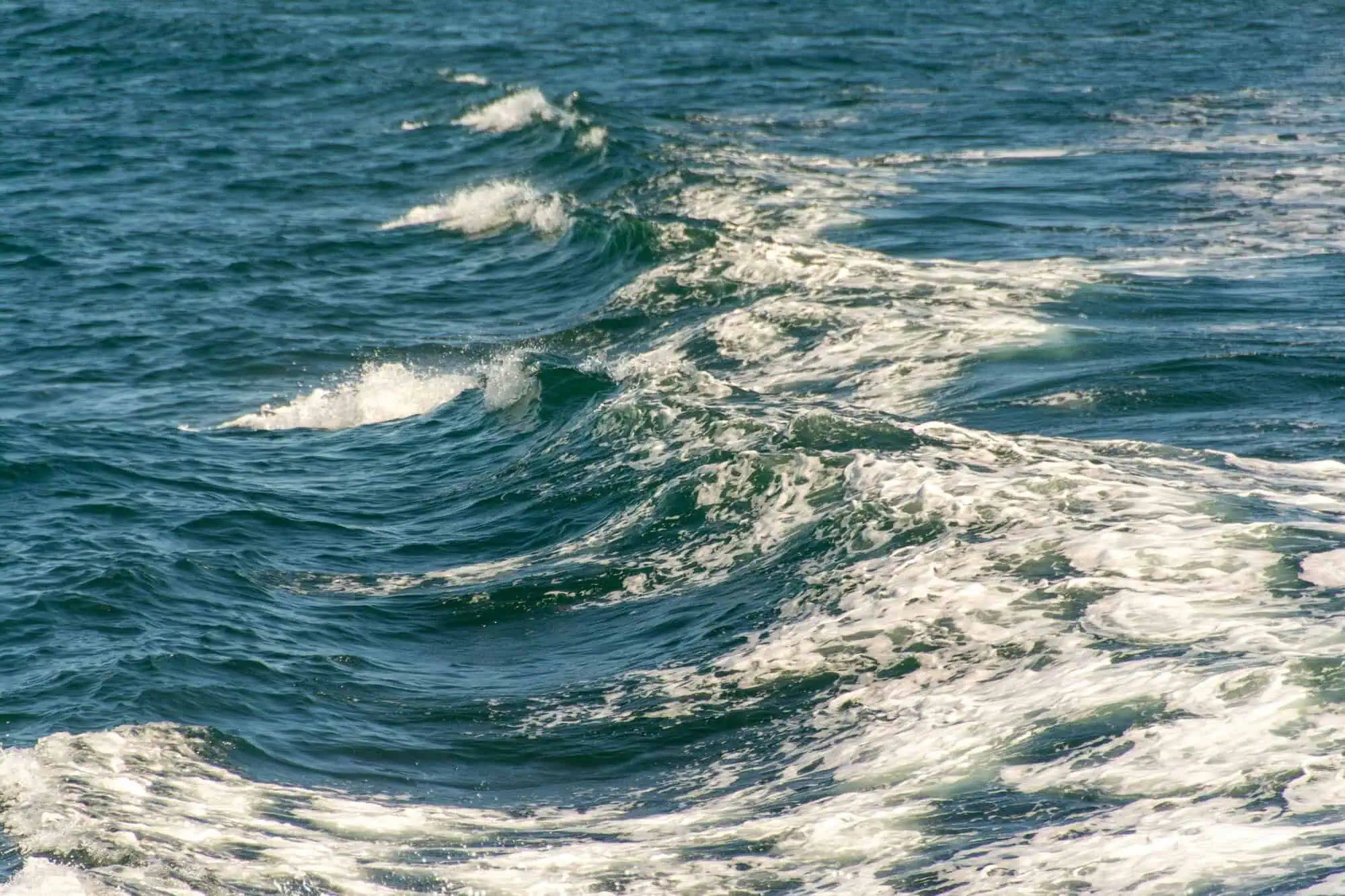 ZUP Boards Explained: Why They’re One of the Easiest Ways to Get Started on the Water