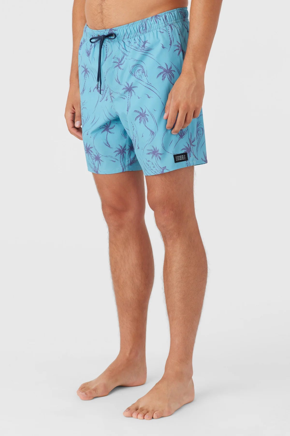 O'Neill Men's Mimosa Volley 17" Shorts