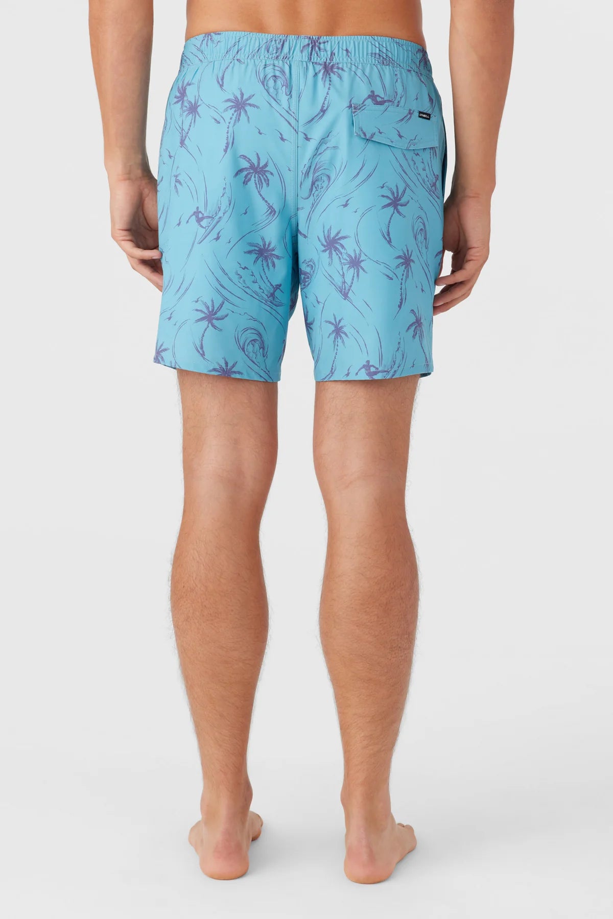 O'Neill Men's Mimosa Volley 17" Shorts