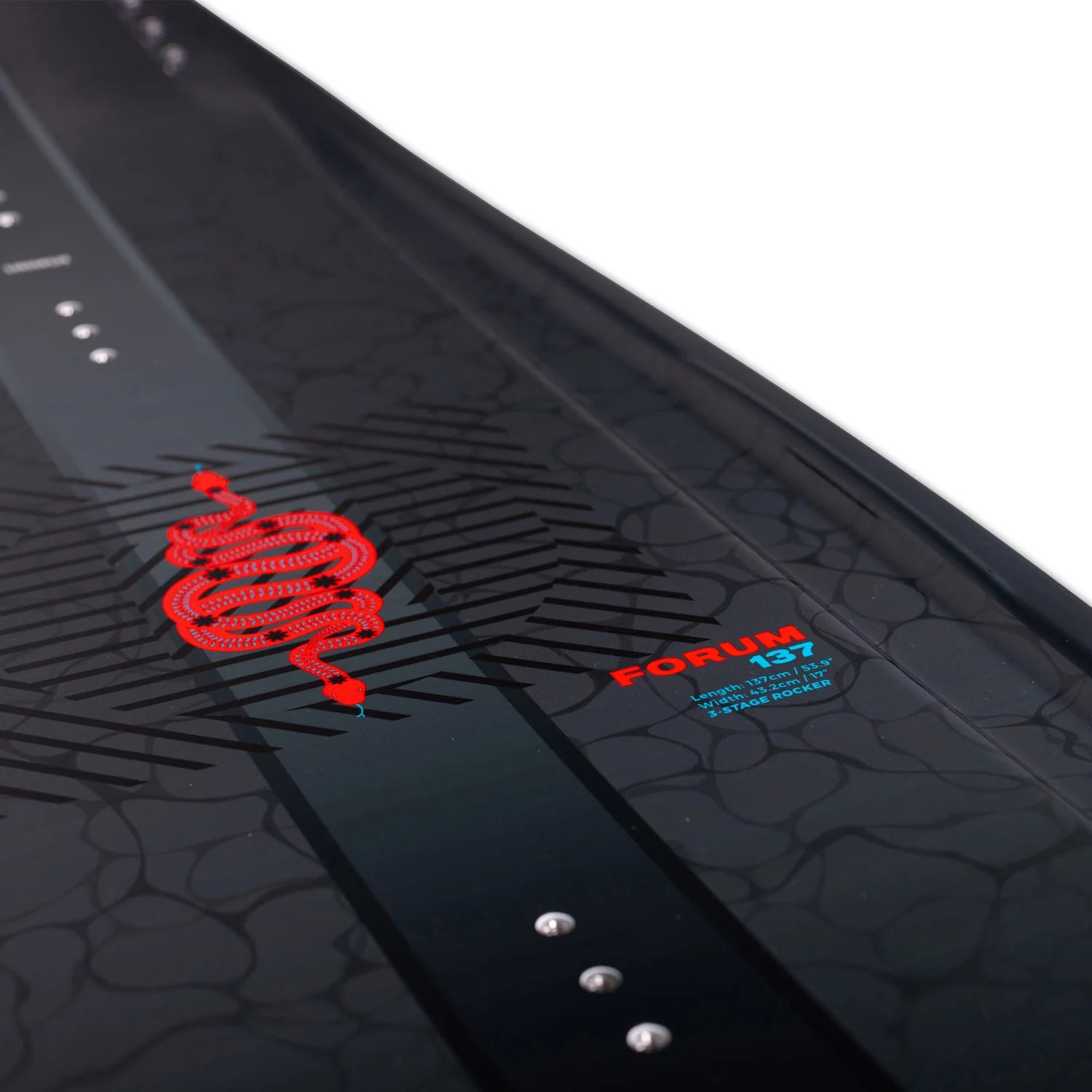 detail of the texture on the top of the