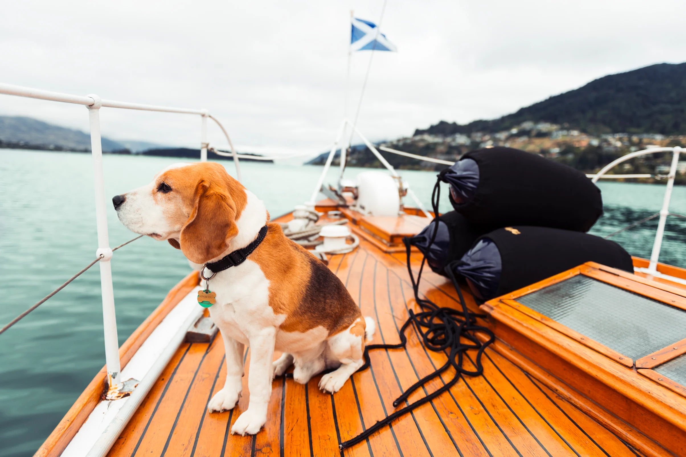 Polyform Elite Fender Cover for Polyform G5 Fenders