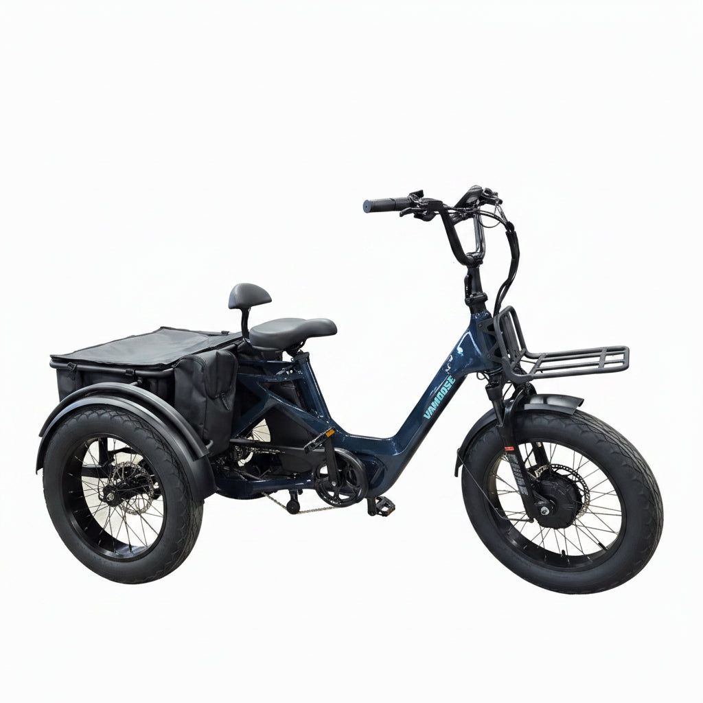 Vamoose Tricycle DST E-Bike