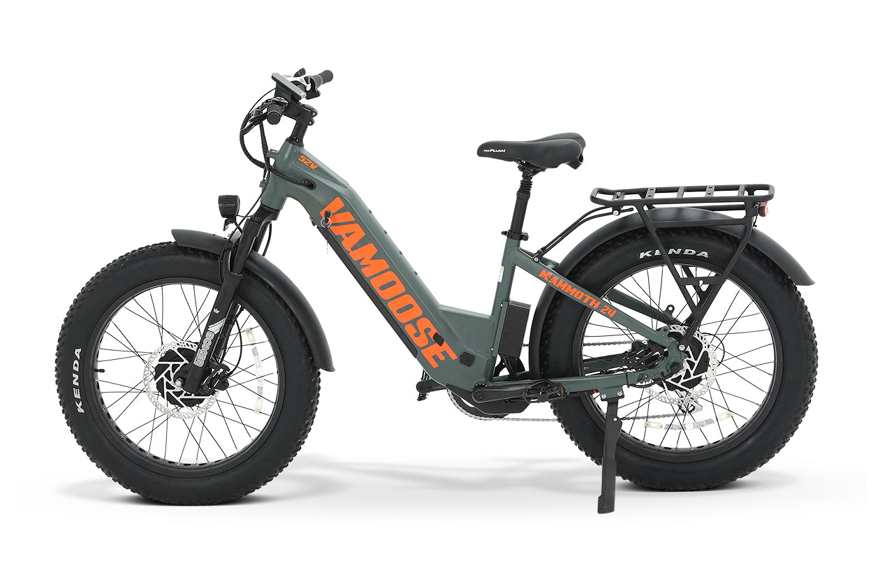 Vamoose Mammoth 24 500 ST E-Bike