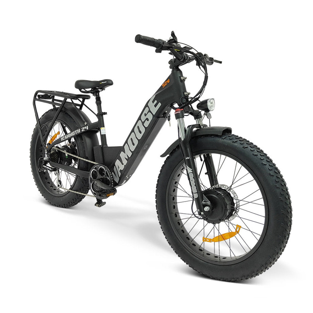 Vamoose Mammoth 24 ST E-Bike
