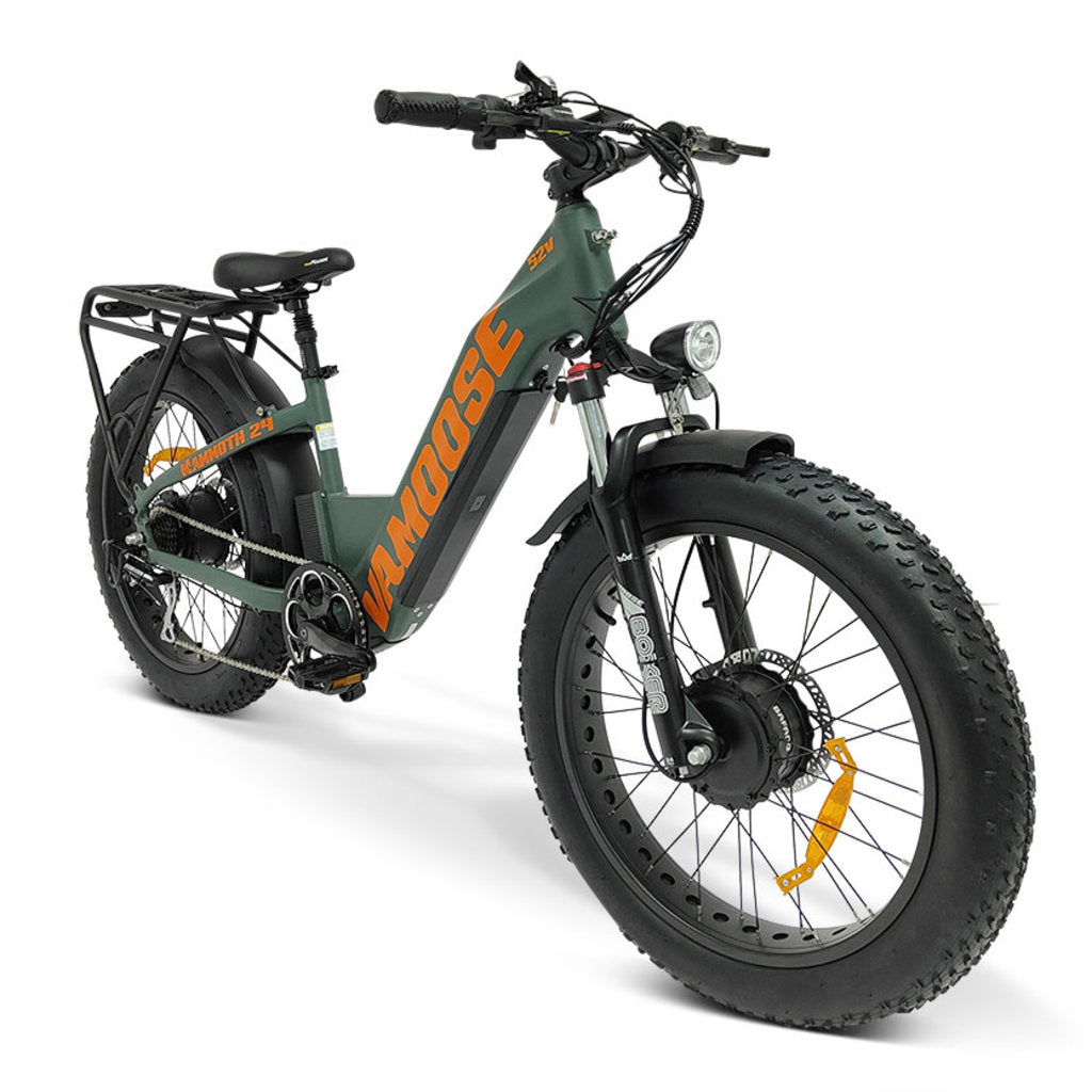 Vamoose Mammoth 24 ST E-Bike