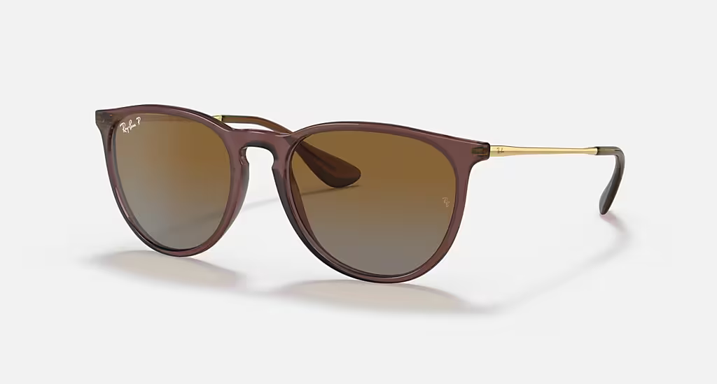 Ray-Ban Erika Sunglasses - Polished Transparent Dark Brown Frame With Brown Lens