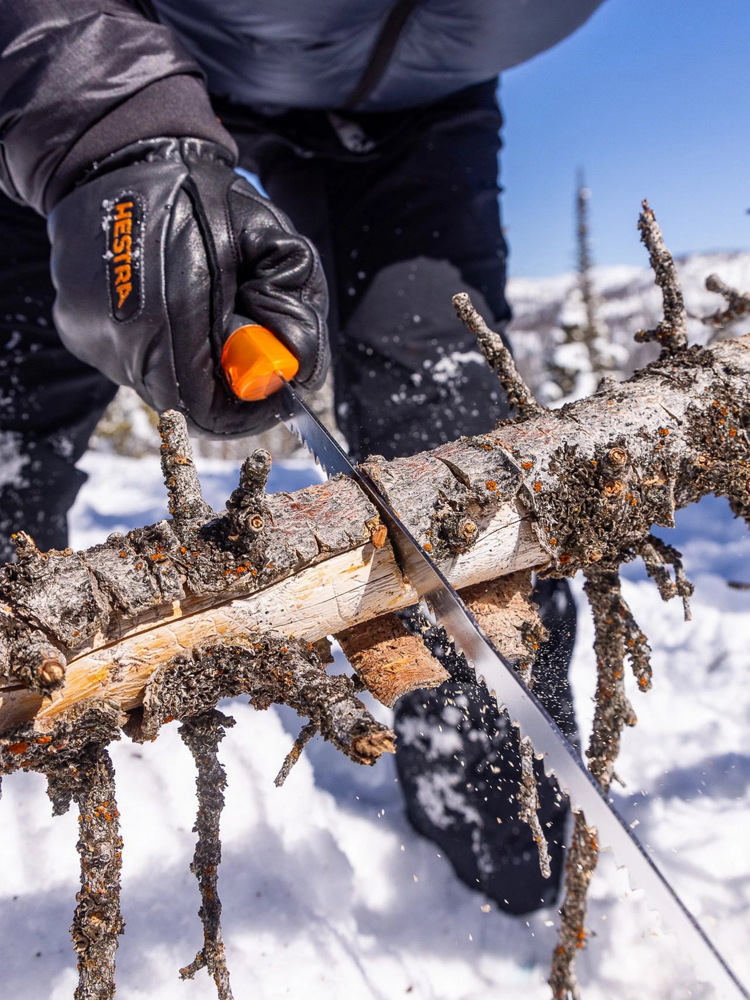 sawing a log with the BCA Dozer™ 2T-S Avalanche Shovel