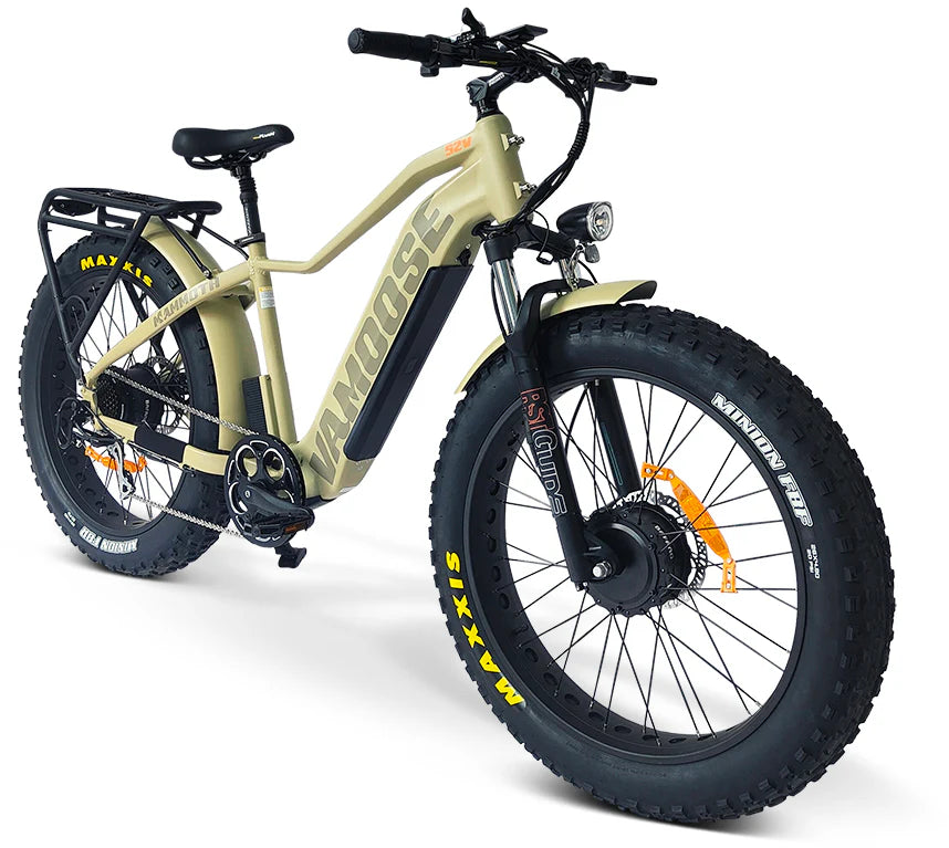 mojave desert winter twig Vamoose Super Mammoth 750 SO E-Bike